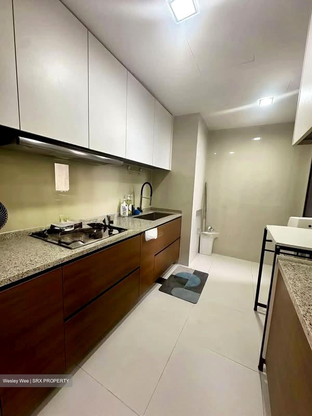 The Miltonia Residences (D27), Condominium #585245621